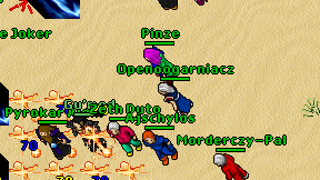 Openoogarniacz on screen
