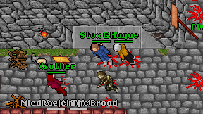 Stox Gala on screen