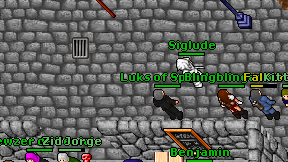 Siglude on screen