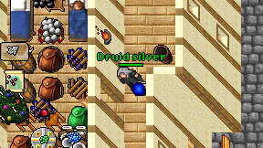 Druid silver on screen