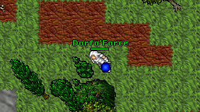 Dorfo'Force on screen
