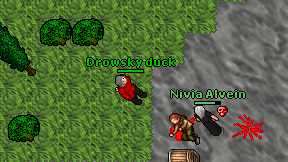 Drowsky duck on screen
