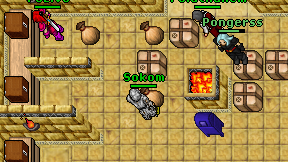 Sokom on screen