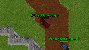 Elite Mancage on screen