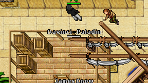 Davinci-Paladin on screen