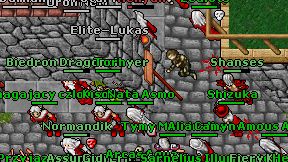 Biedron Dragonslayer on screen