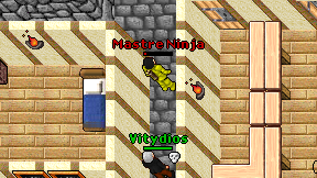 Mastre Ninja on screen