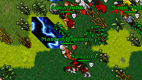 Master Hakimbo on screen