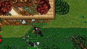 Edvards on screen