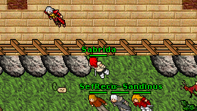 Sabrida on screen