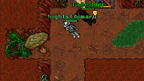 Nights Chimaru on screen