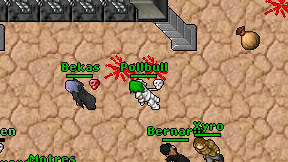 Pollbull on screen