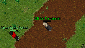 Elite Tsunami on screen