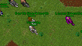 Nirelda on screen