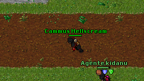 Cammus Hellscream on screen
