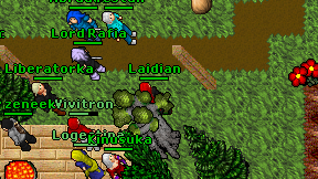 Laidian on screen