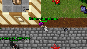 Elder Angelouz on screen