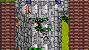 Potonaco on screen