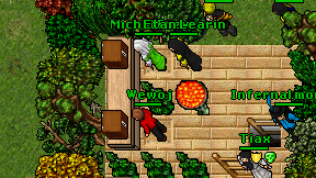 Wewoj on screen
