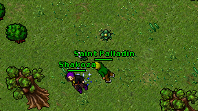 Saint Palladin on screen