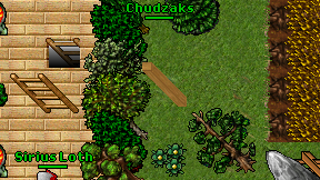 Chudzaks on screen
