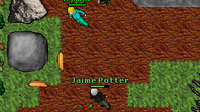 Jaime Potter on screen