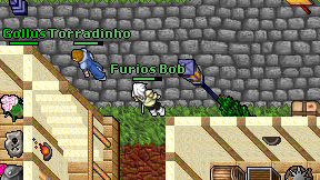 Furios Bob on screen