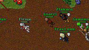Enarel on screen