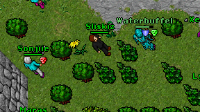 Sliskiz on screen