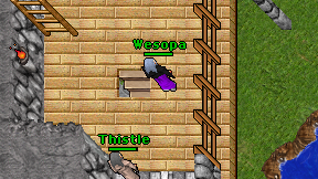 Wesopa on screen