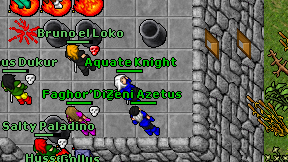 Aquate Knight on screen