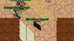 Shadow Anyel on screen