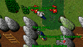 Knight savolla on screen