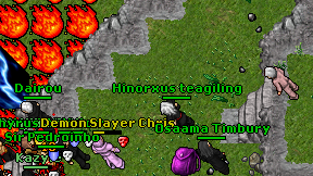Hinorxus teagiling on screen