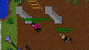 Sagahon Druid on screen