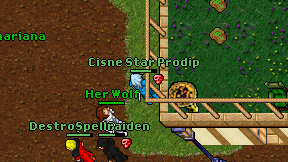 Cisne Star Prodip on screen