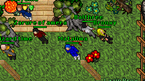 Matalima on screen