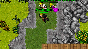 Avandon on screen