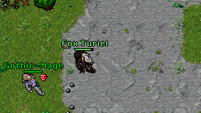 Fox Turiel on screen