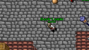 Dark'Lowki on screen