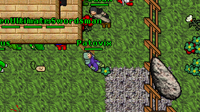 Patovix on screen