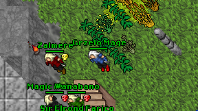 Grzelo Mage on screen