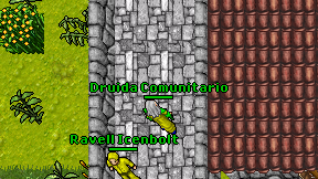 Druida Comunitario on screen
