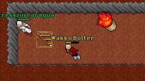 Wakko Bolter on screen