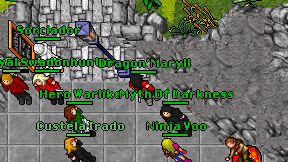 Dragon'Maryll on screen