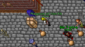 Magnus of North on screen