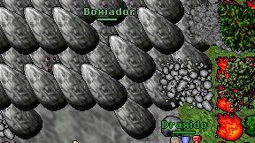 Boxiador on screen