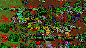 Witch guard on screen