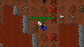 Mikrofalowka on screen