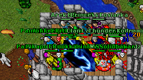 Master Zawisza on screen